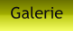 Galerie